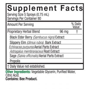 Nature's Answer Sambucus Black Elder Berry Extract Spray 2 oz