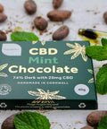 Themptation Mint Chocolate Bar 40g (Pack of 2)