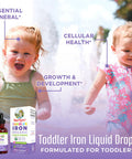MaryRuth Organics Toddler Iron Organic Liquid Drops