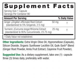 Nature's Answer Tumeric & Ginger 90 ea