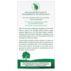 Nature's Answer Tumeric & Ginger 90 ea
