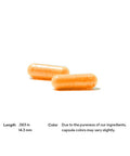 Thorne Riboflavin 5'-Phosphate 60 Capsules