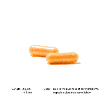 Thorne Riboflavin 5'-Phosphate 60 Capsules