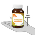 Zahler's Biodophilus 60 Billion Digestive Health 60 Capsules