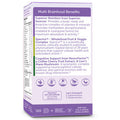 Multivitamin Brainfood 60 Caps By Advanced Nutrition By Zahler