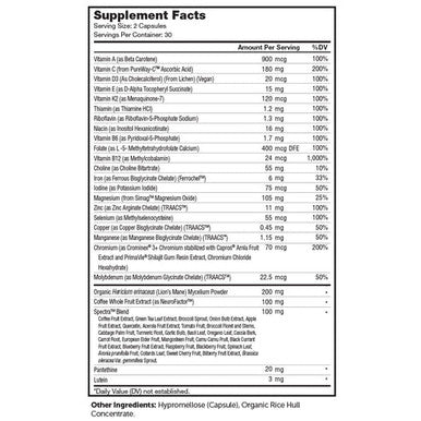 Multivitamin Brainfood 60 Caps By Advanced Nutrition By Zahler