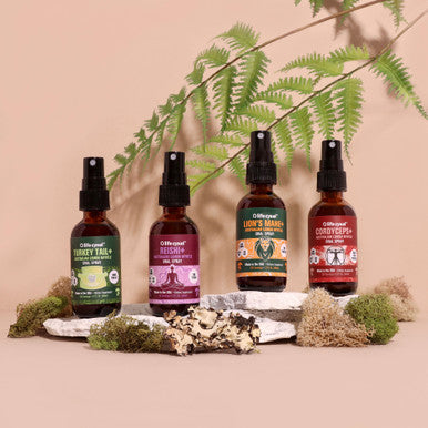 Life Cykel Reishi Mushroom + Lemon Myrtle Oral Spray, 2 oz