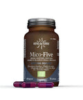 Hifas da Terra Mico-Five 70's