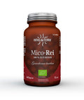 Hifas da Terra Mico-Rei 70's