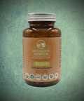 Mycology Nutrition Reishi (Ganoderma lucidum) 90's