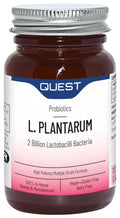 Quest Vitamins L. Plantarum