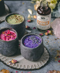 SOMA Elixir | 7 Mushrooms + Vitamin C