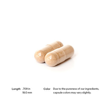 Thorne Rhodiola 60 Capsules