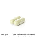 Thorne Boswellia Phytosome 60 Capsules