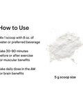 THORNE Creatine Micronized Creatine Monohydrate Powder 16 oz